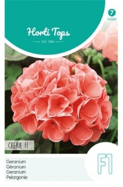 14560 muskat cherie_500x500